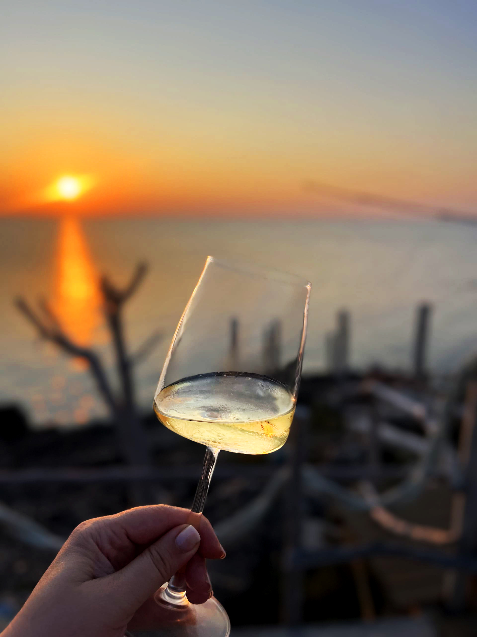 Apulija vyno degustacija lietuviskai