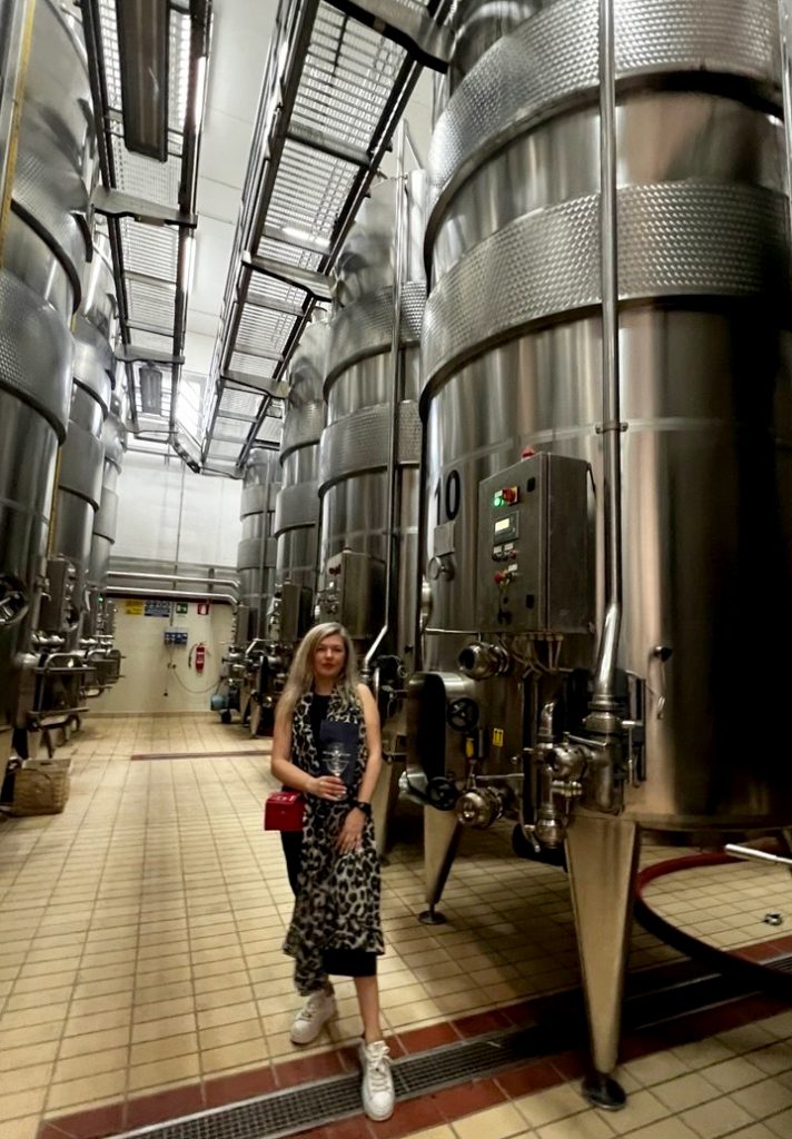Nerūdijančio plieno fermentacijos talpų salė vyno ūkyje